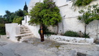 IMG 005154